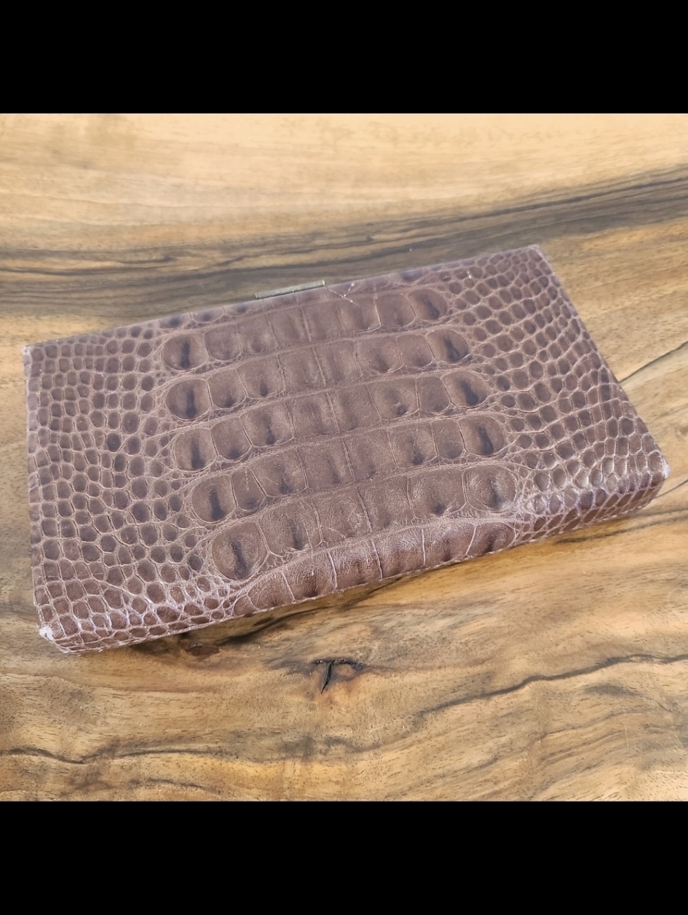 Banana Republic Brown Leather Reptile Embossed Clutch